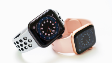 【Apple watchユーザー向け】無料で自律神経をセルフチェックする方法